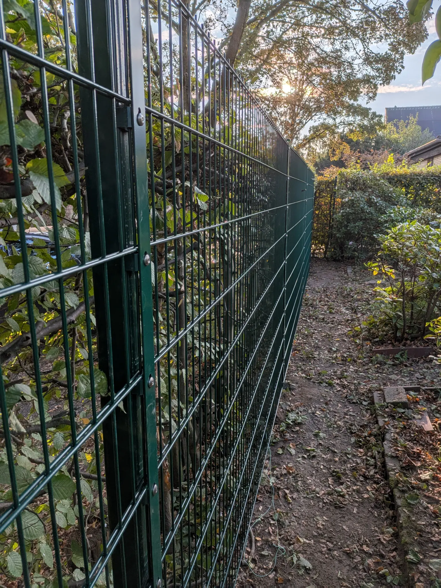 Neu gesetzter Doppelstabmattenzaun als Grundstücksabgrenzung in Viersen
