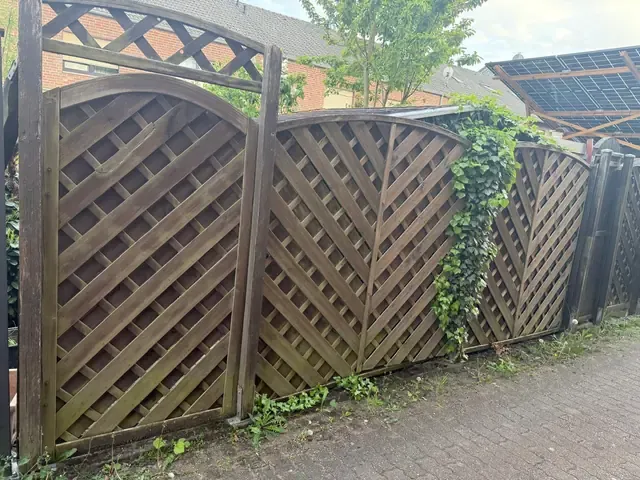 Alter Sichtschutzzaun aus Holzgitterelementen, vermoost und von Efeu durchwachsen, in Viersen-Dülken